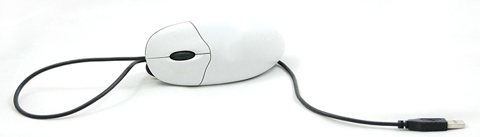 Picture of a computer mouse